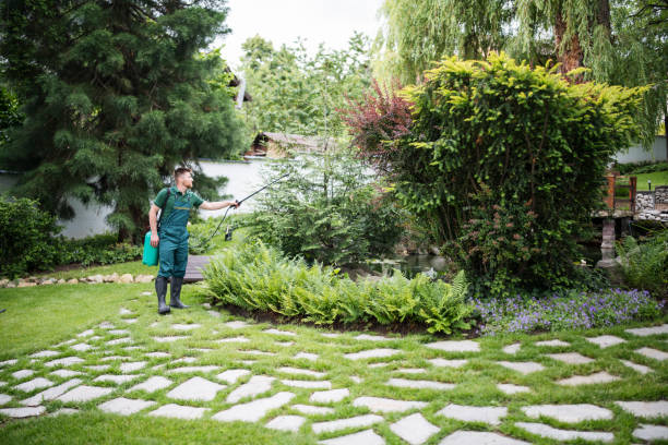 Best Cockroach Control Services  in Smethport, PA